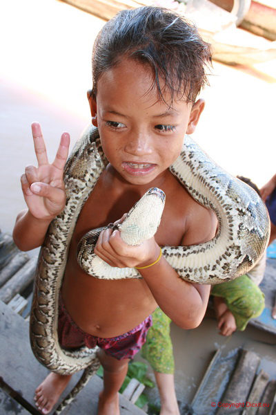 Cambodge 01.158
