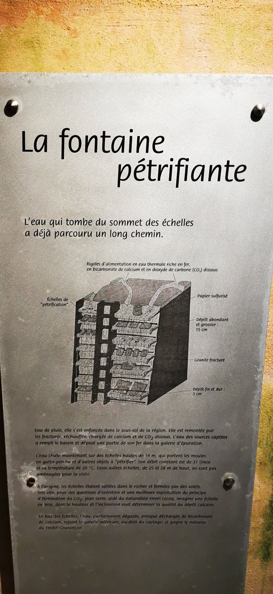 IMG 20220709 182745