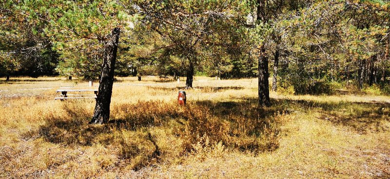 IMG 20200808 143601 1